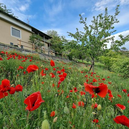 Casa Le Vignole - Aosta Vila Exterior foto