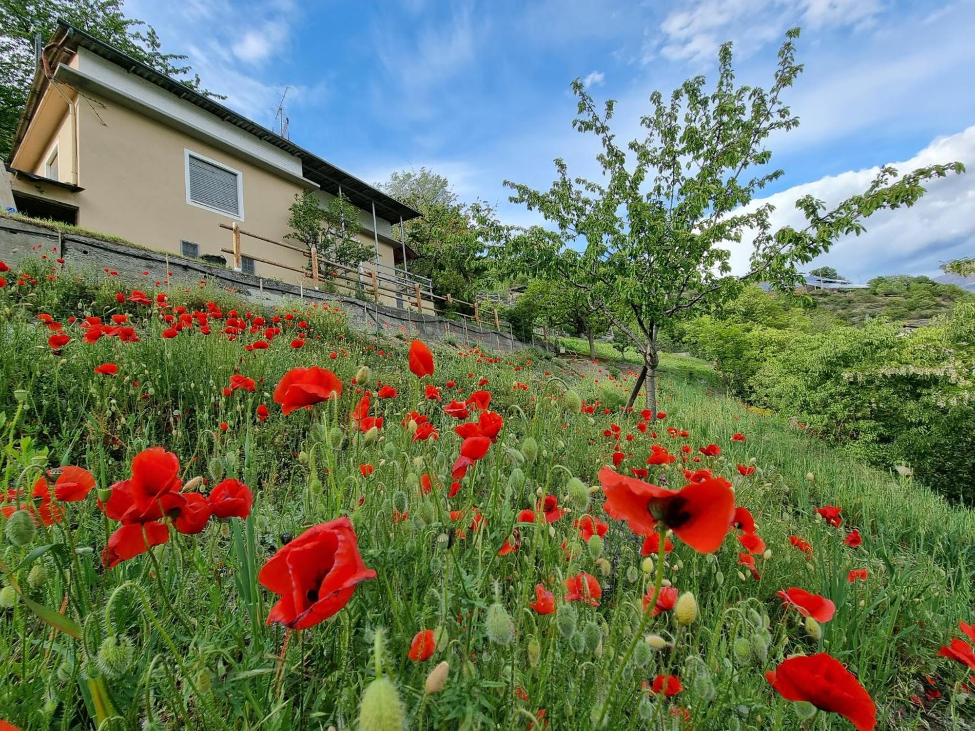 Casa Le Vignole - Aosta Vila Exterior foto